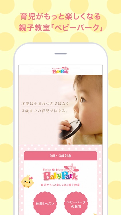 TOEZ Mathカード　マスカード　ベビーパーク　※説明欄必ずご確認下さい TOEZ Mathカード マスカード ベビーパーク ※説明欄必ずご確認