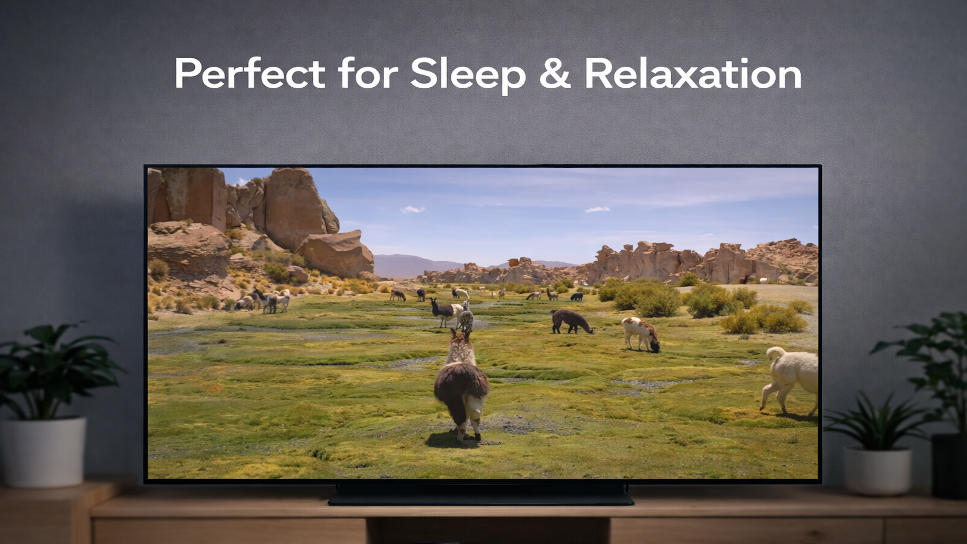 Nature 4K: Relaxing TV screenshot 3