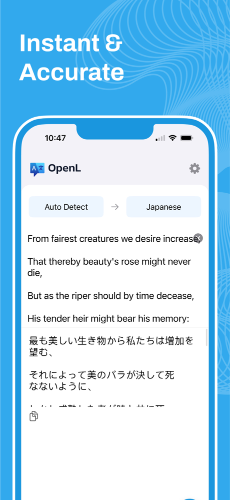 OpenL Translate screenshot 3
