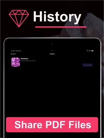 Rock Identifier: Find Stone iPad screenshot