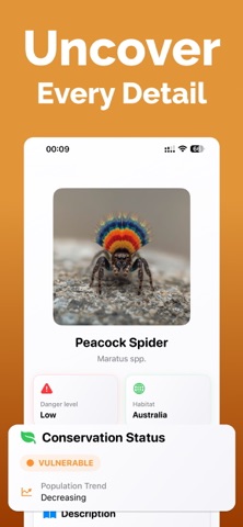 Spider Identifier - SpinScout screenshot