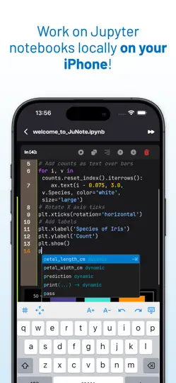 Скриншот Jupyter Notebook - JuNote на iPhone 3