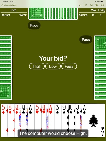 Minnesota Whist - Expert AI iPad screenshot