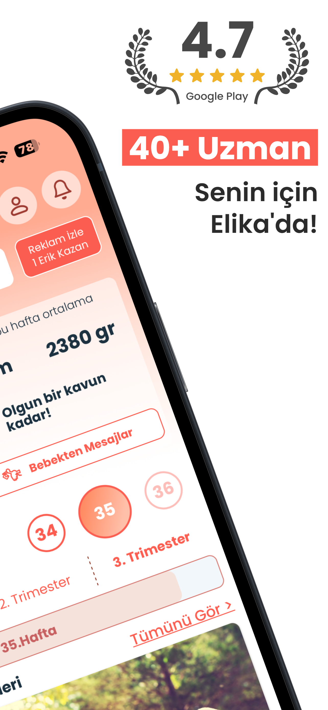 Hamilelik Takibi + Gebelik