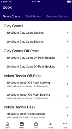 The Northern Lawn Tennis Club screenshot 2