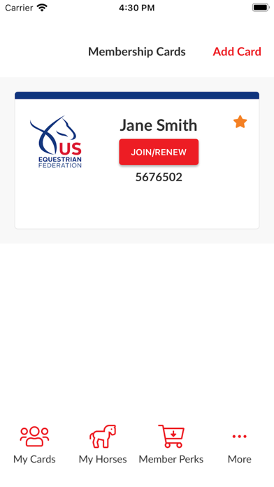 US Equestrian Screenshot