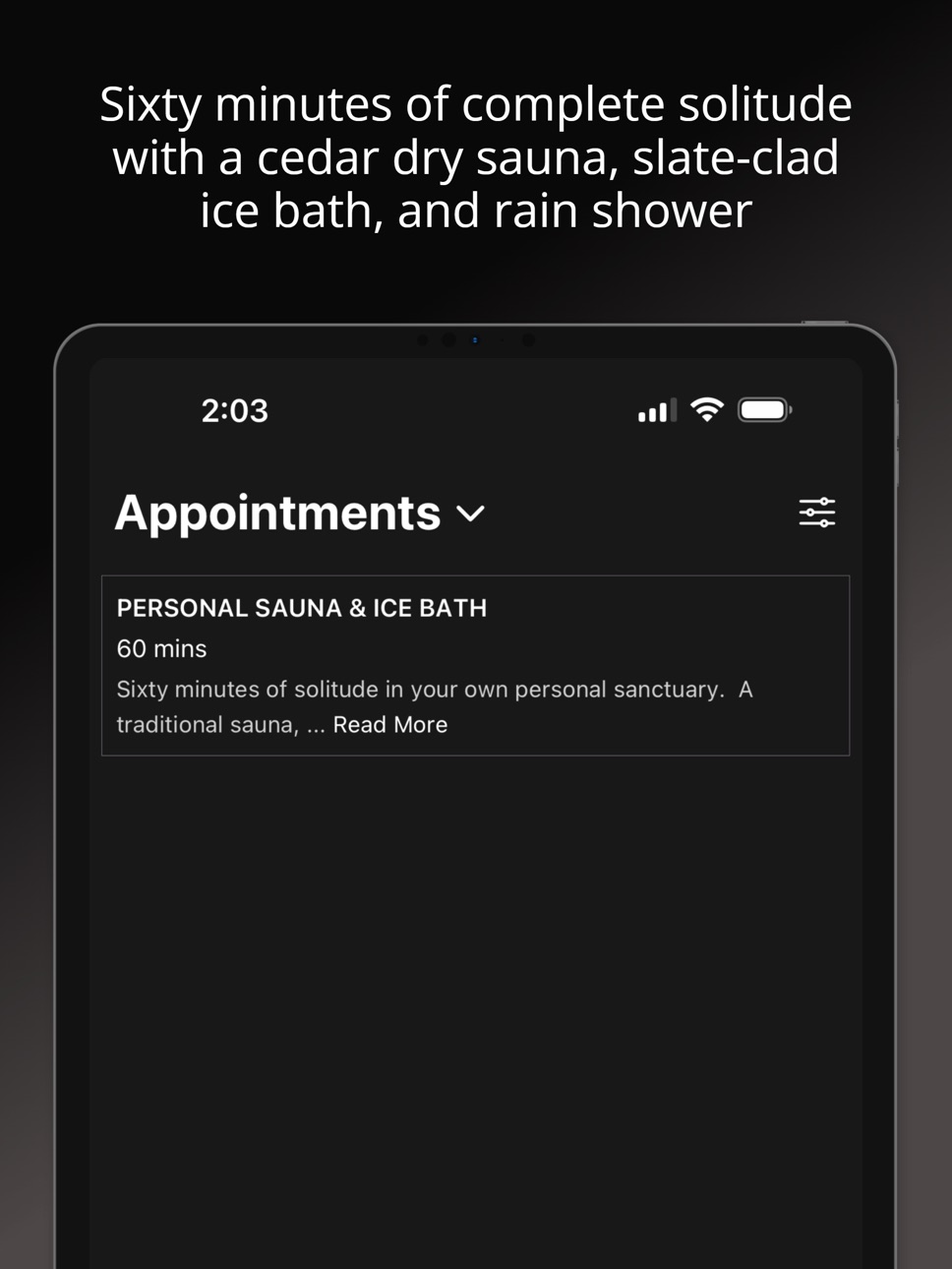 iPad screenshot