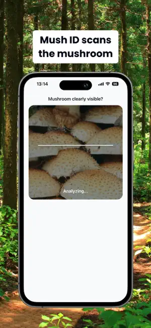 Mush ID | Mushroom Identifier screenshot 3