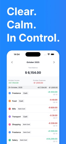 Balanz AI — Money Tracker screenshot