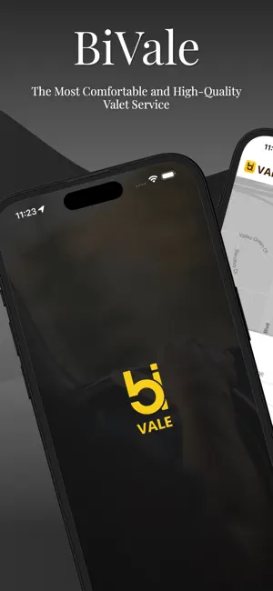BiVale screenshot 2