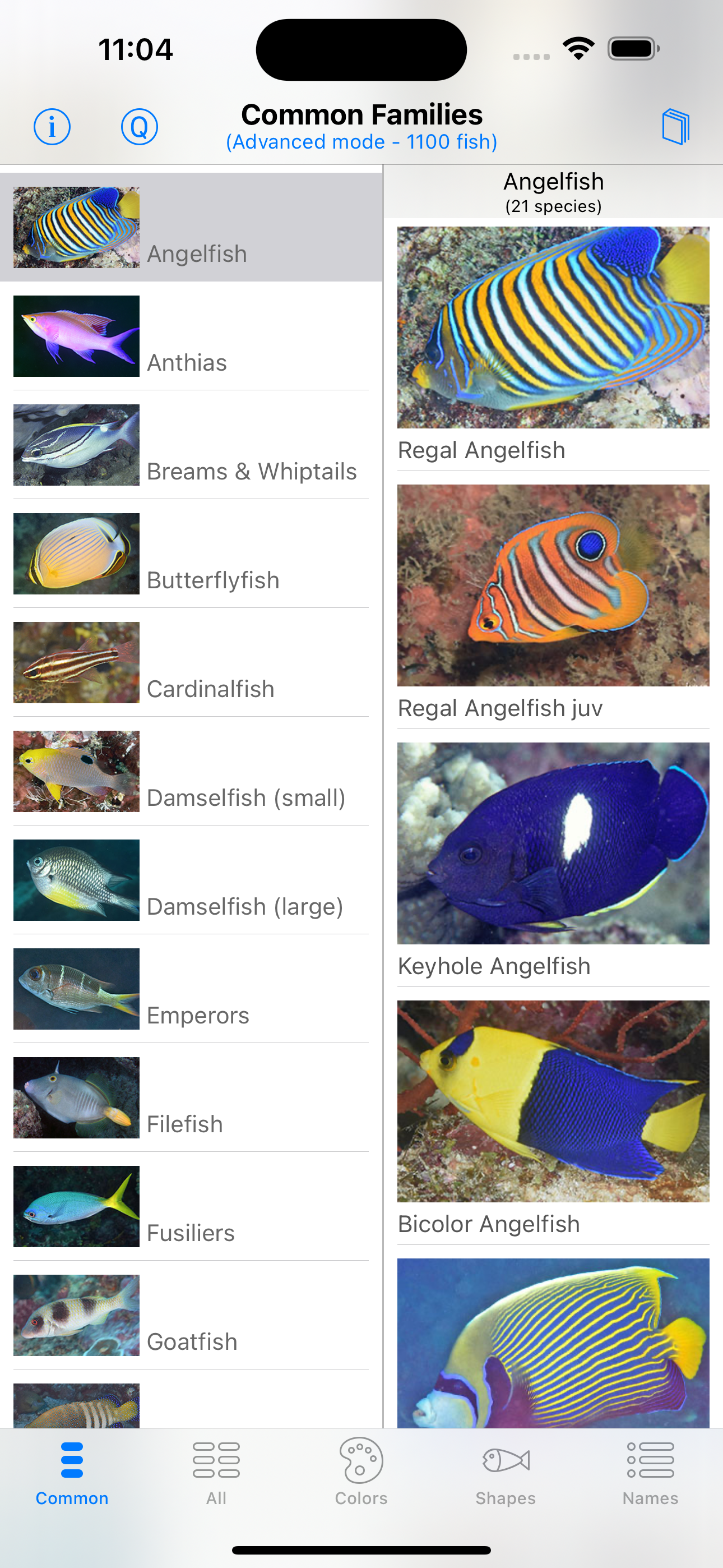 Philippines Fish ID