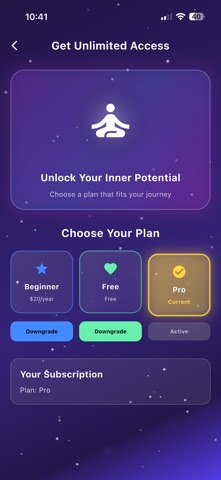 InnerCode - ReStructuring Life iPhone screenshot