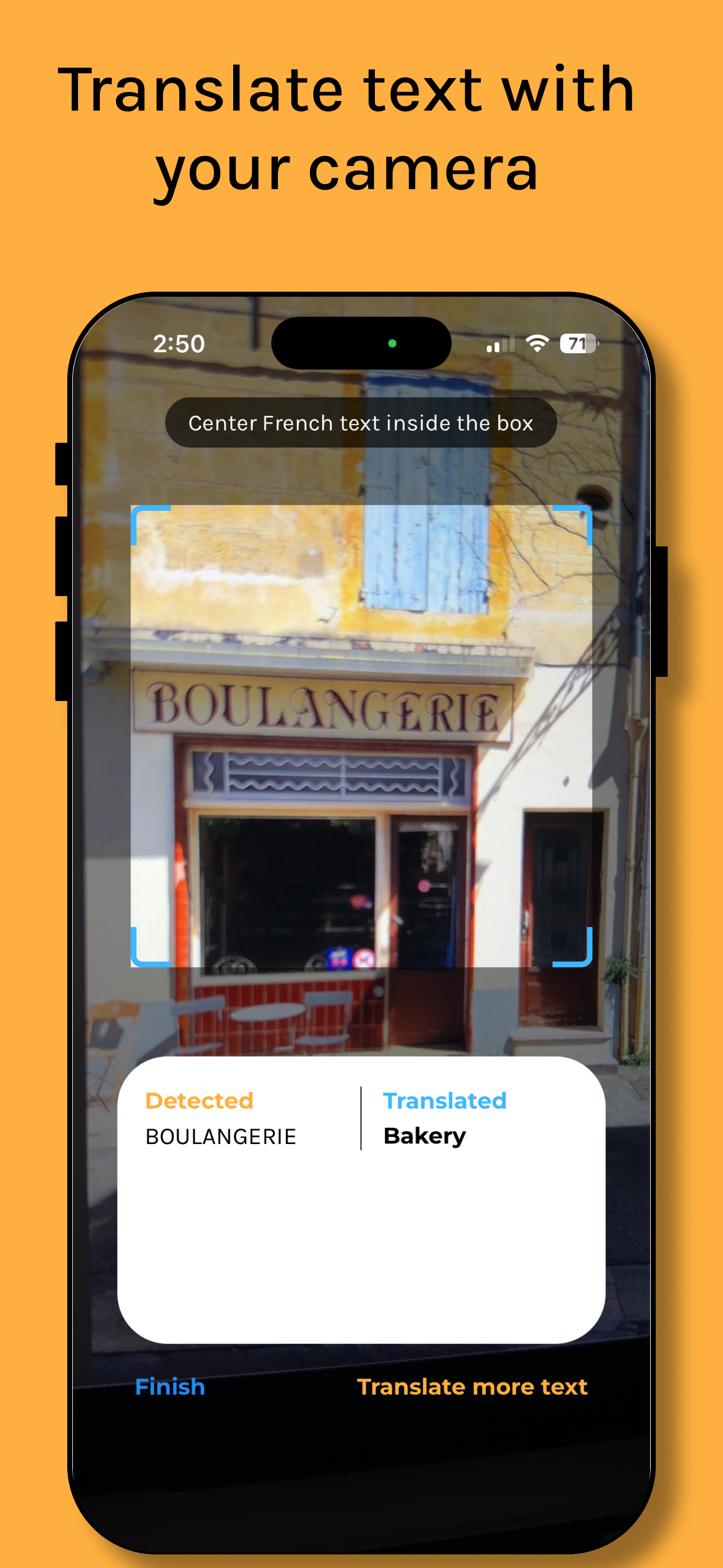 Liingo: Translate & Learn screenshot 5