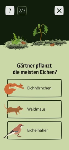 Wald-Zeit-Reise iPhone screenshot
