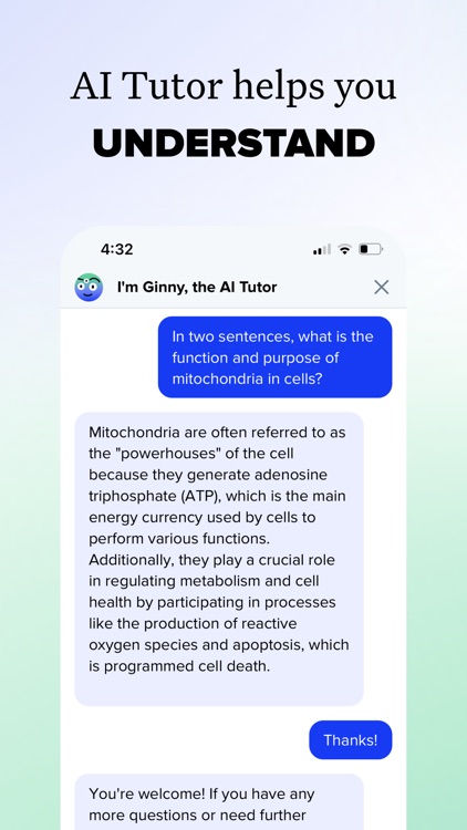 Brainly: AI Homework Helper