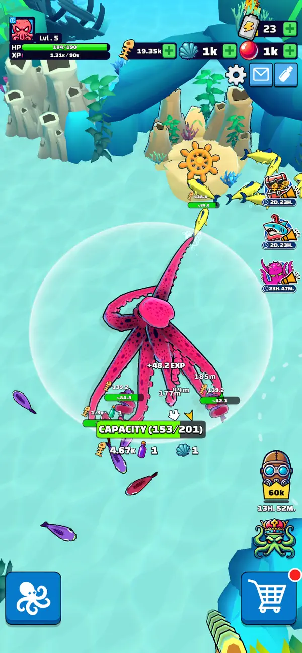 Octopus Feast