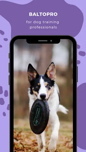 BaltoPro screenshot 1