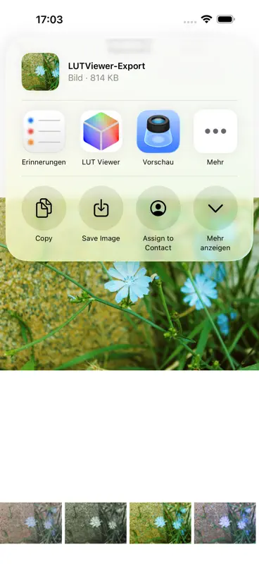 LUT Viewer for iOS screenshot 4 of 4