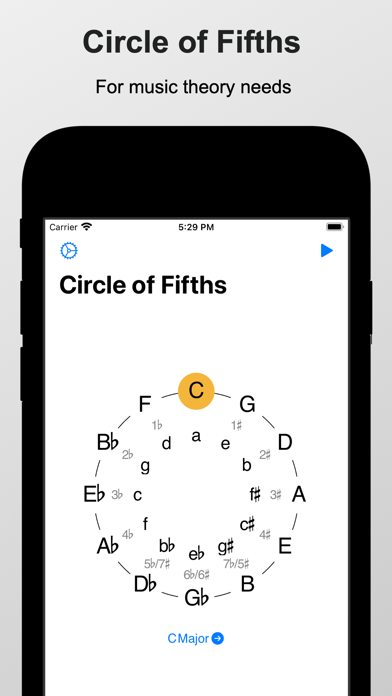 Piano Chords and Scales Screenshot
