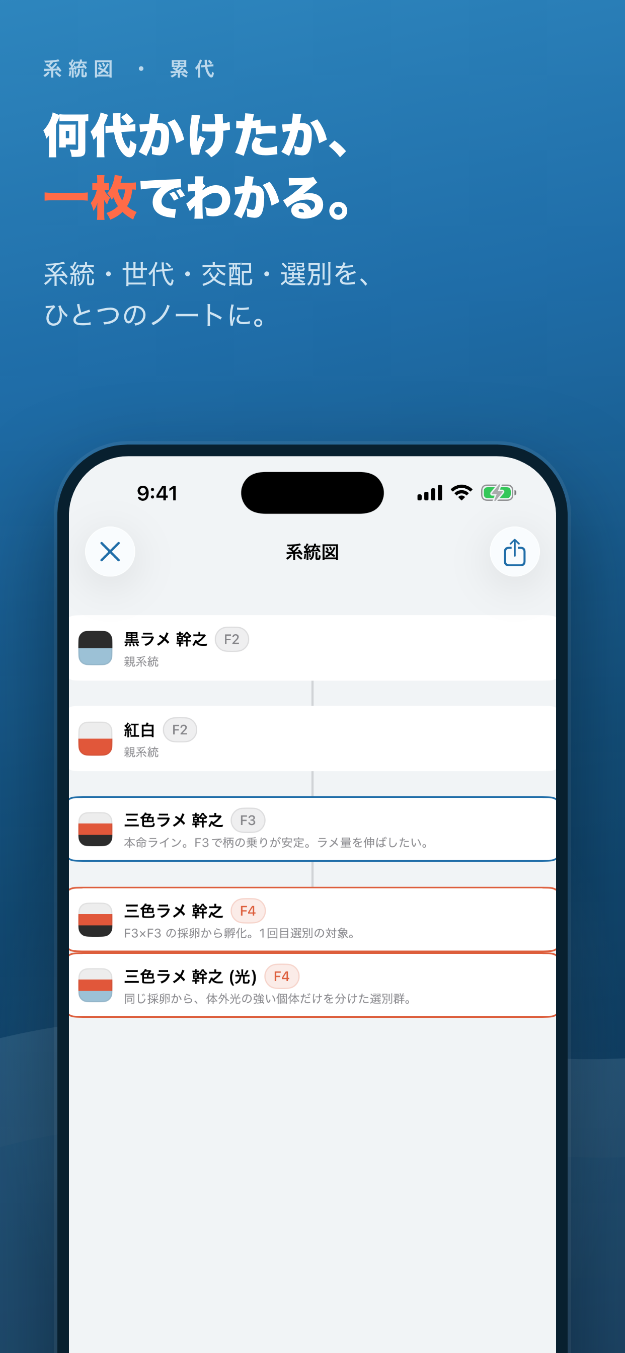 メダカ系統ノート｜累代・選別・飼育記録 screenshot 2