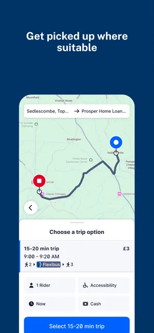 Flexibus screenshot 2