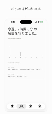 Blank — Hold the quiet hours iPhone screenshot