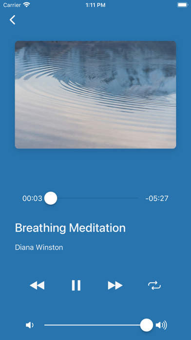 UCLA Mindful Screenshot