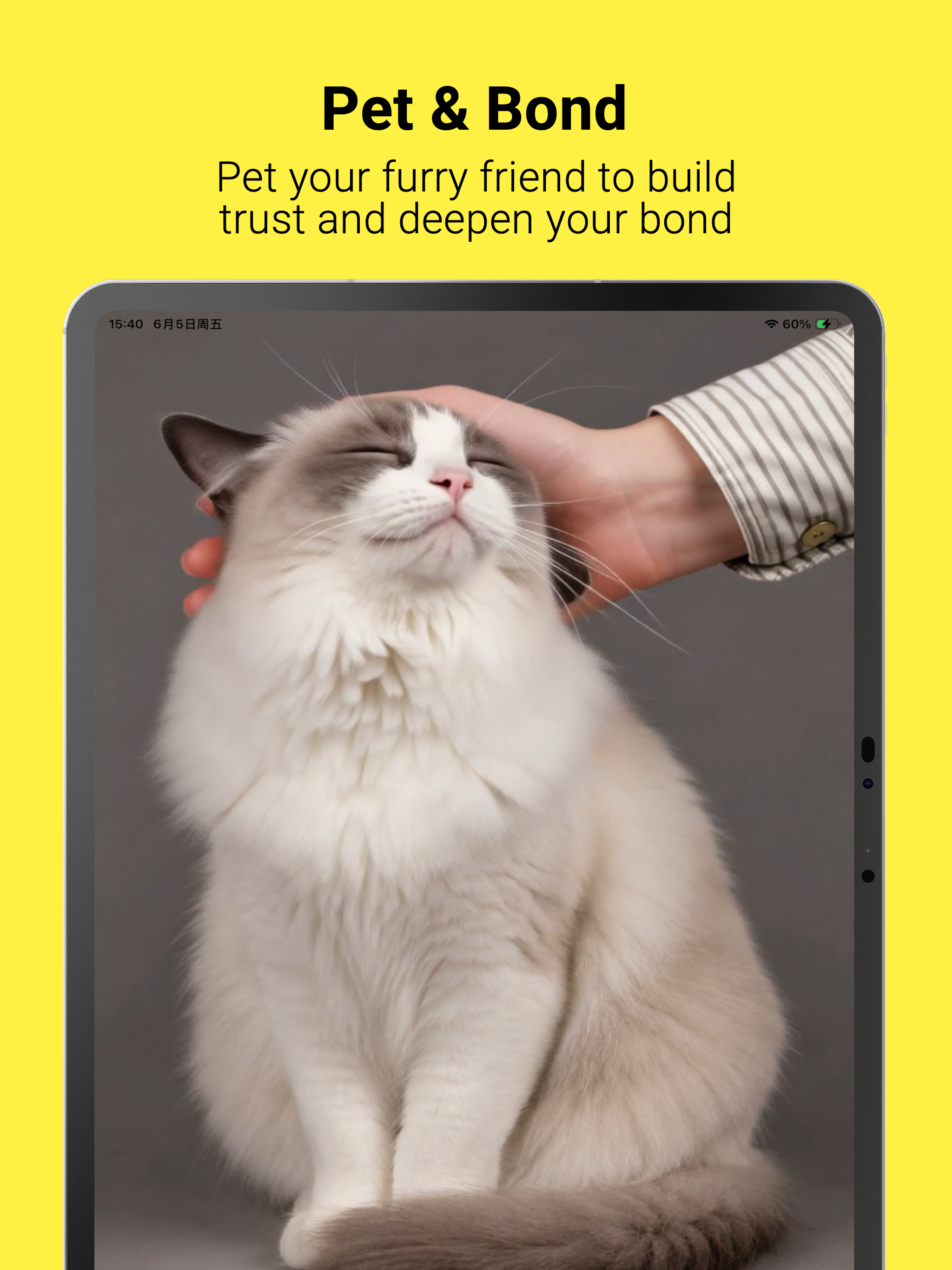 Petnori: Virtual Pet Companion screenshot 14
