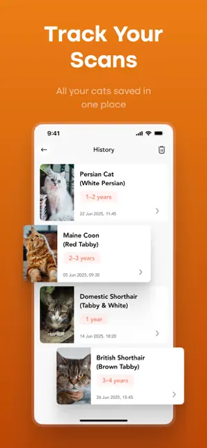 My Cat Breed Identifier screenshot 3