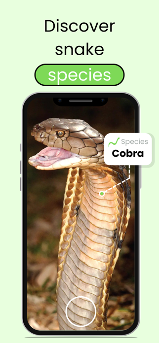 Snake Identifier: Viper ID Screenshot 2 of 4