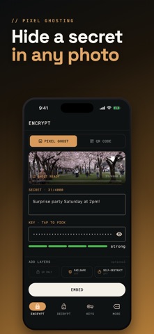 GhostCode：照片里的秘密信息 screenshot