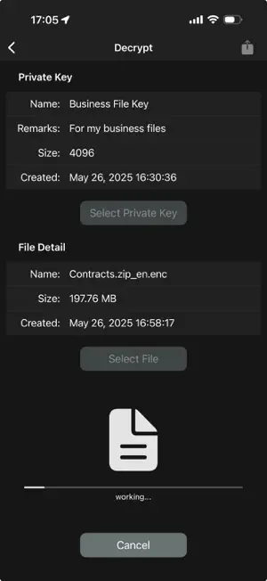 FileCryptor screenshot 4