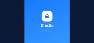 Dibis Zone screenshot