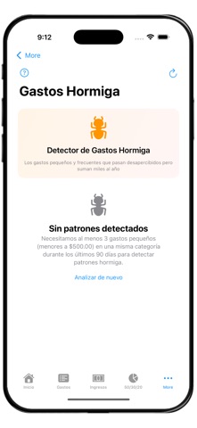 Gastos Hormiga screenshot