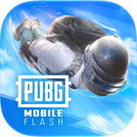 PUBG MOBILE FLASH