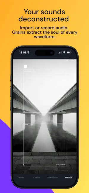 GrainHeads screenshot 4