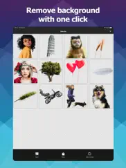 photo cutout-Ластик Фона айпад изображения 2