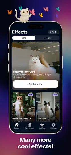 Syncat By Zedge: Funny Videos iPhone Ekran Görüntüsü 6
