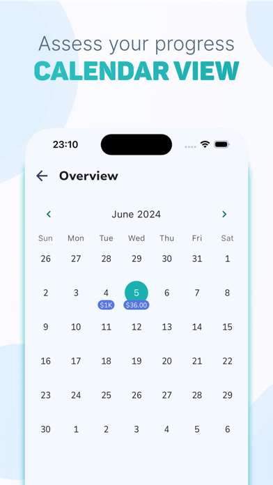 My Pocket - Daily Budgeting Screenshot