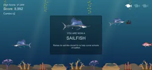 Florida Fish Life screenshot 2