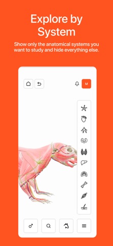 Vetty 3D app Screenshot 7 of 7