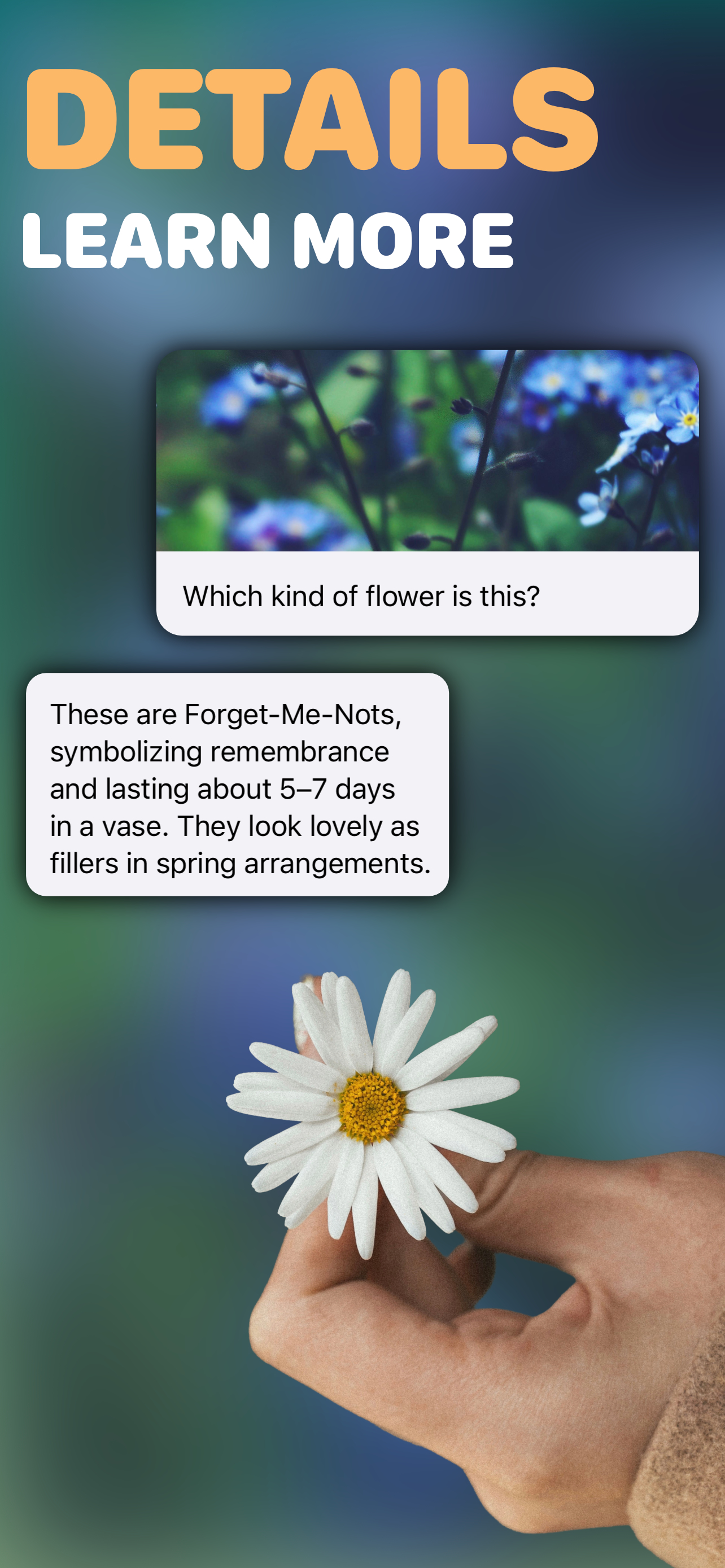 Flower Identifier AI Scanner