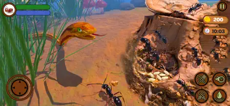 Ant Insect Life Survival War - Games App | MWM
