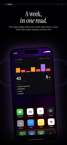 Habit Tracker: Entropy Screenshot 9 of 10