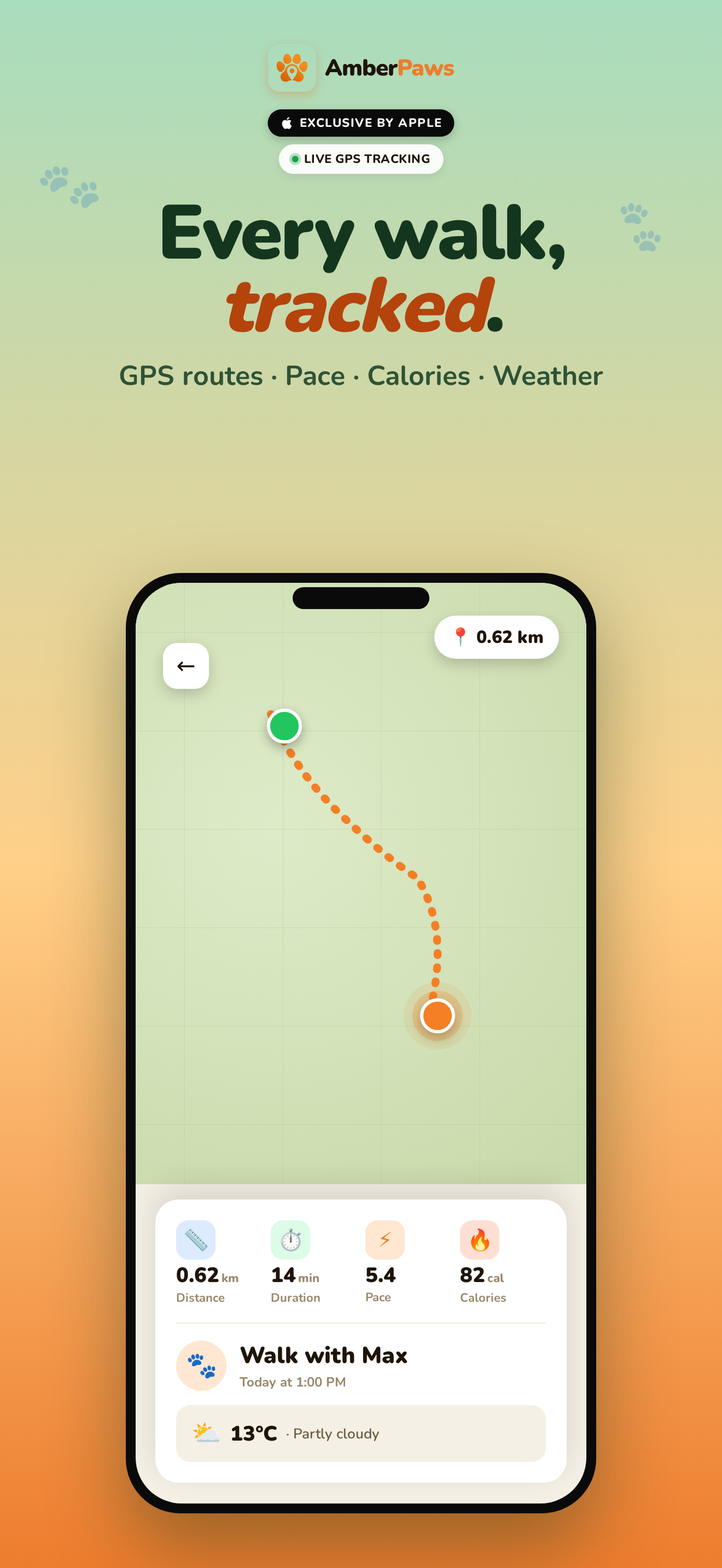 AmberPaws - Find Lost Pets