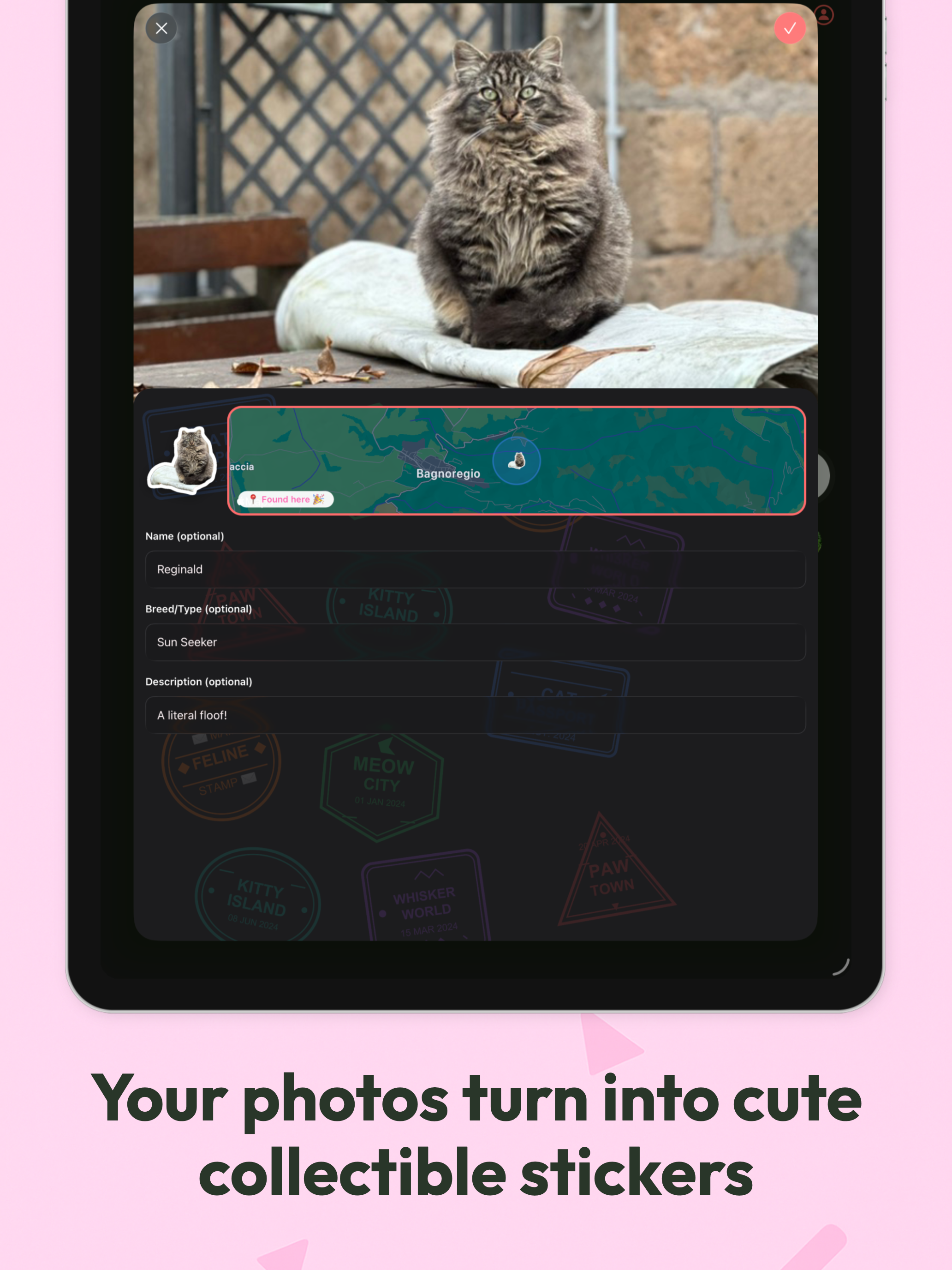 Pawsport: Cat Photo Journal screenshot 14
