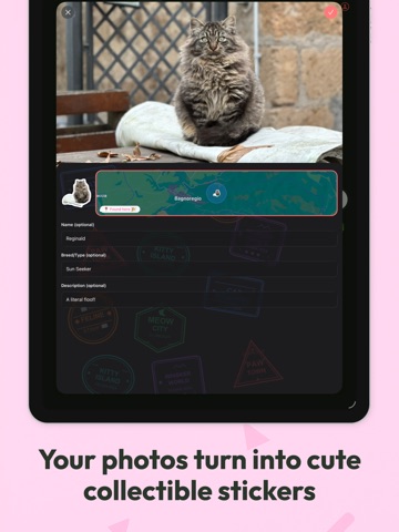Pawsport: Cat Photo Journal iPad screenshot