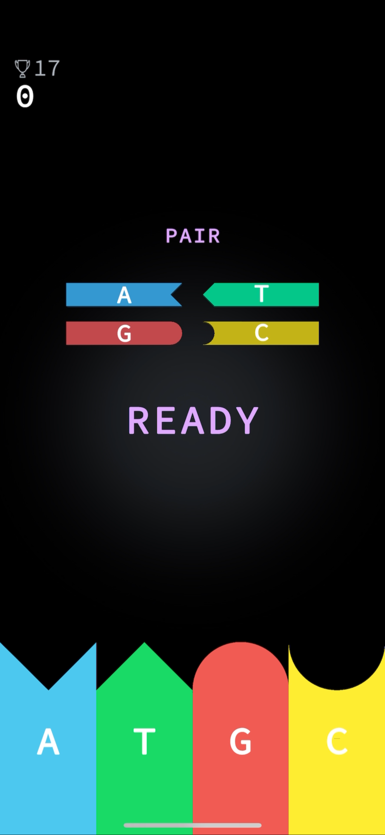 DNA - Pairing Game