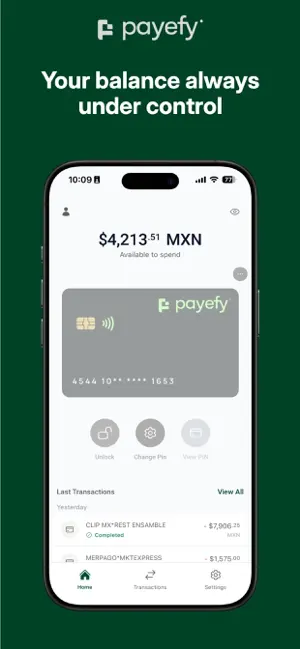 Payefy screenshot 3