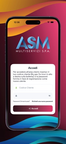 ASM Multiservizi Spa screenshot